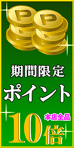 梅雨時期の洗車・コーティング・愛車お手入れを応援!ハイブリッドナノガラス本店サイトでは全品対象でポイント10倍!