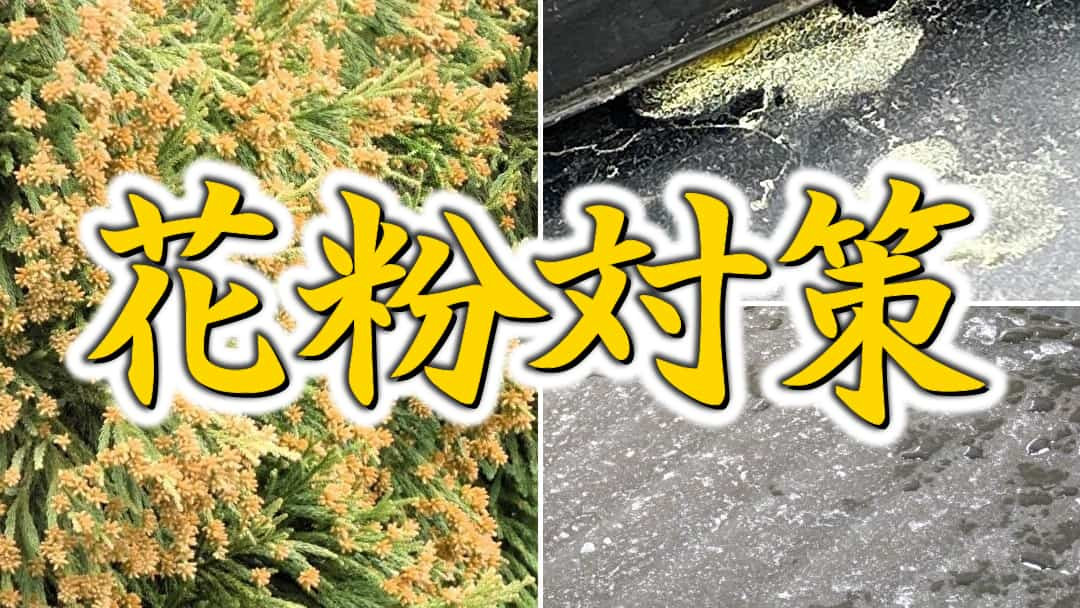 愛車の花粉汚れにお困りの方必見【花粉対策用おすすめカーケア用品】花粉汚れ除去・花粉を防ぐコーティング剤などお手入れ用品をご紹介