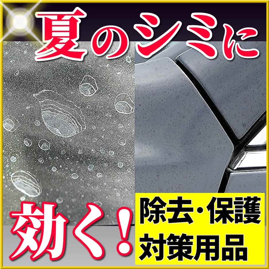 プロ性能で視界改善 ガラスの油膜 水垢 ウロコ取り専用クリーナー 車のウィンドウガラスケアに最適 洗車で落ちないガラスの油膜 水垢 ウロコを一撃で除去 プロ用炭化ケイ素 最強ガラスクリーナー 50g 専用スポンジ付