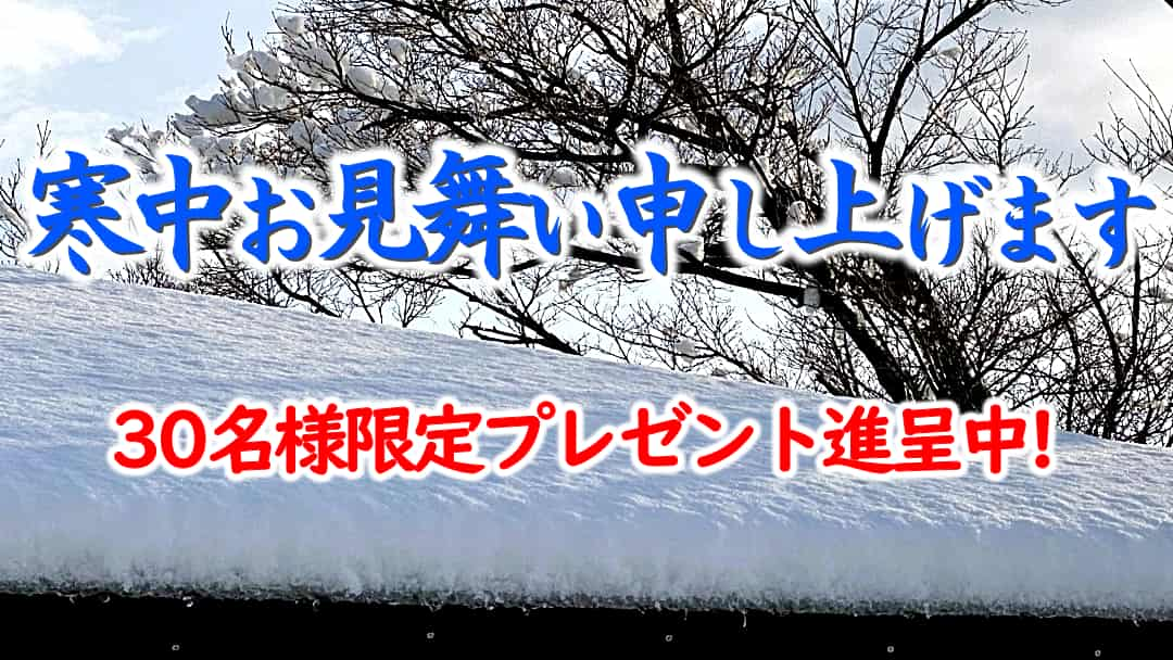 ハイブリッドナノガラスからの寒中お見舞いプレゼント！先着３０名様に極上マイクロファイバークロスと高汎用カーケアスポンジセット進呈